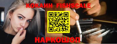 крисы Шелехов