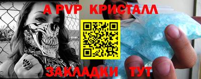 крисы Шелехов