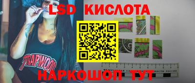 крисы Шелехов