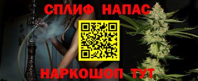 крисы Шелехов