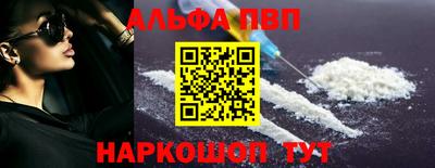 крисы Шелехов