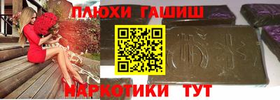 крисы Шелехов