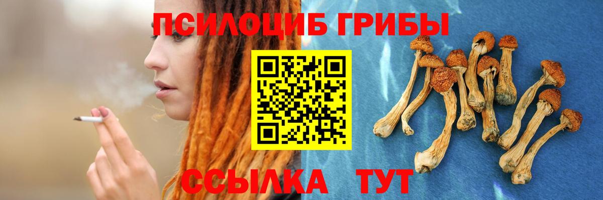 Ахтубинск  Псилоцибиновые грибы Psilocybine cubensis  где продают наркотики  Вход с VPN  Псилоцибиновые грибы мицелий 